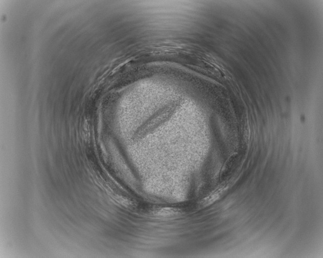 X0000052540467200507221430