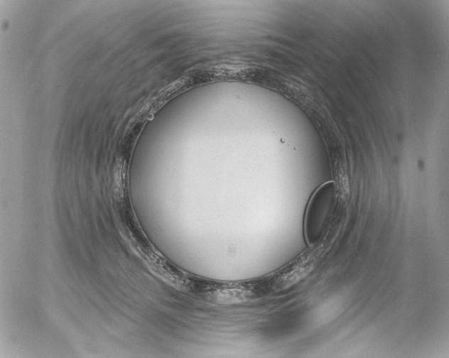 X0000052540468200507221430