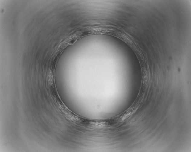 X0000052540469200507221430