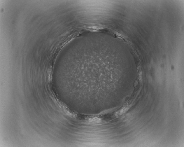 X0000052540471200507221430