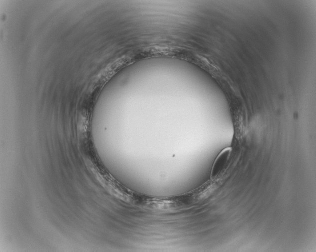 X0000052540472200507221430