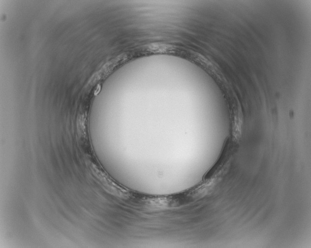 X0000052540473200507221430