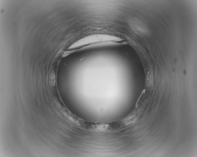 X0000052540474200507221430