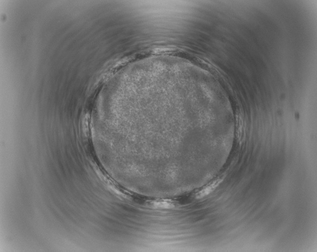 X0000052540475200507221430