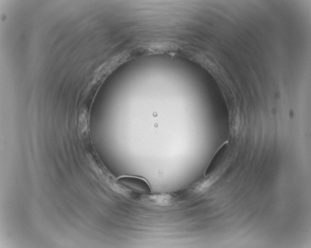 X0000052540478200507221430