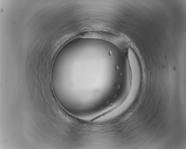 X0000052540481200507221429