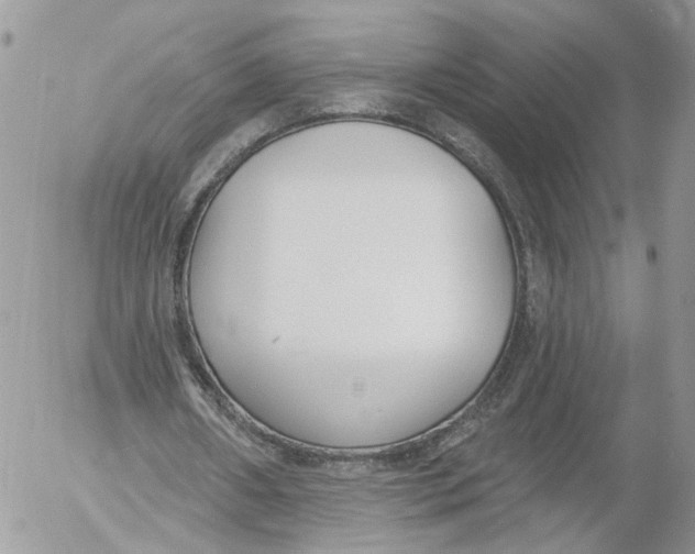 X0000052540482200507221429