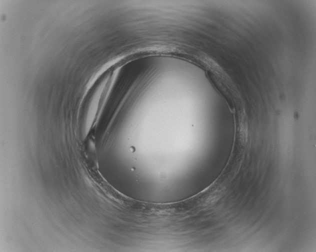 X0000052540484200507221429