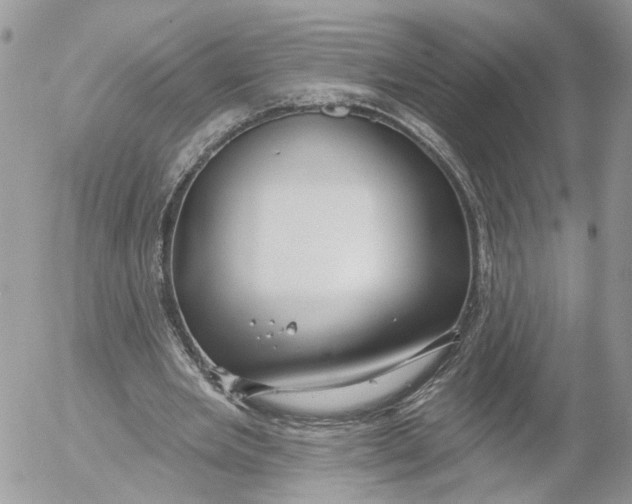 X0000052540485200507221429