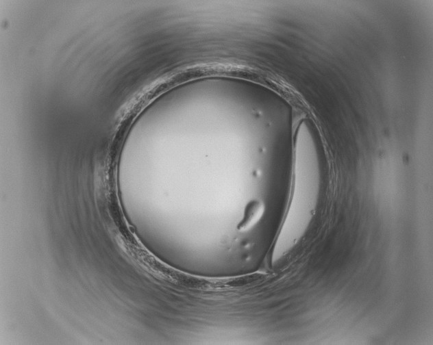 X0000052540487200507221429