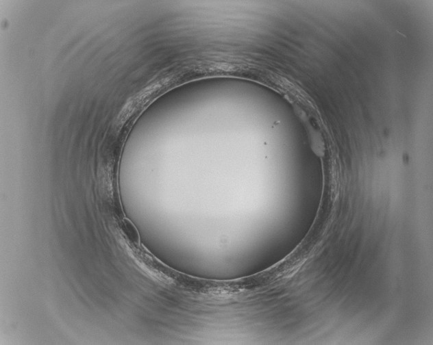 X0000052540489200507221429