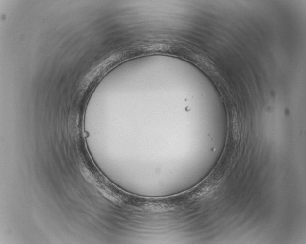 X0000052540490200507221429