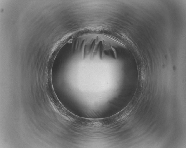 X0000052540492200507221429