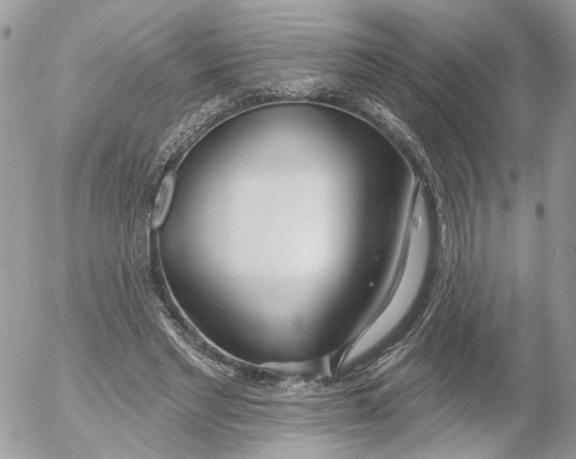 X0000052540493200507221429