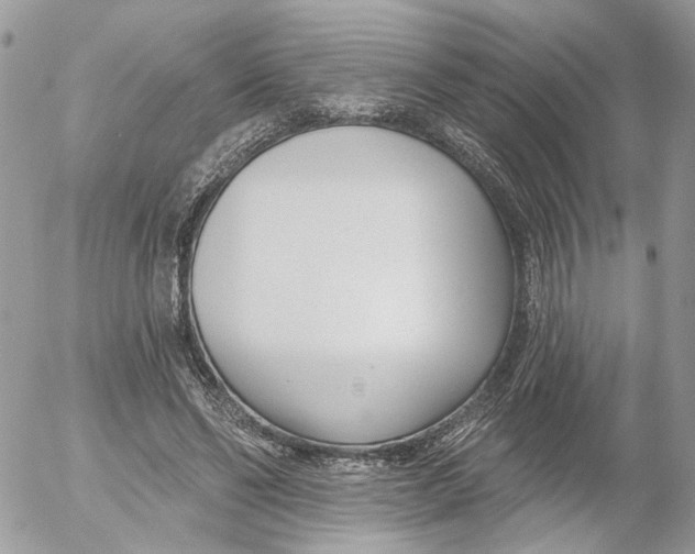 X0000052540494200507221429