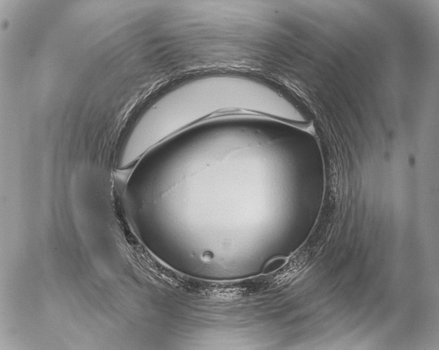 X0000052540495200507221429