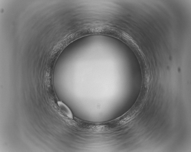 X0000052540497200507221429