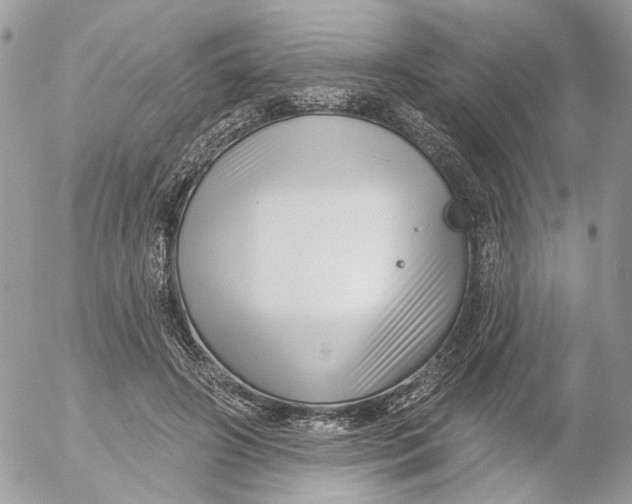 X0000052540498200507221429