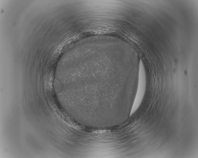 X0000052540499200507221429