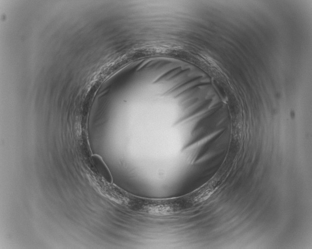 X0000052540500200507221429