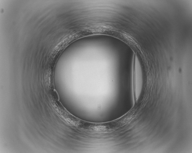 X0000052540501200507221429