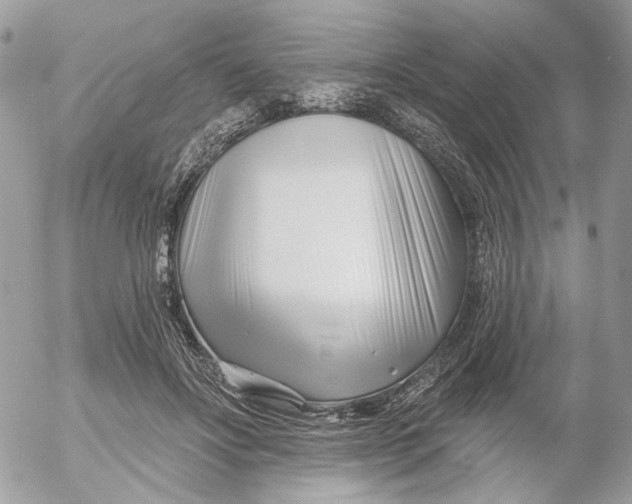 X0000052540502200507221429