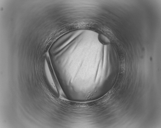 X0000052540503200507221429