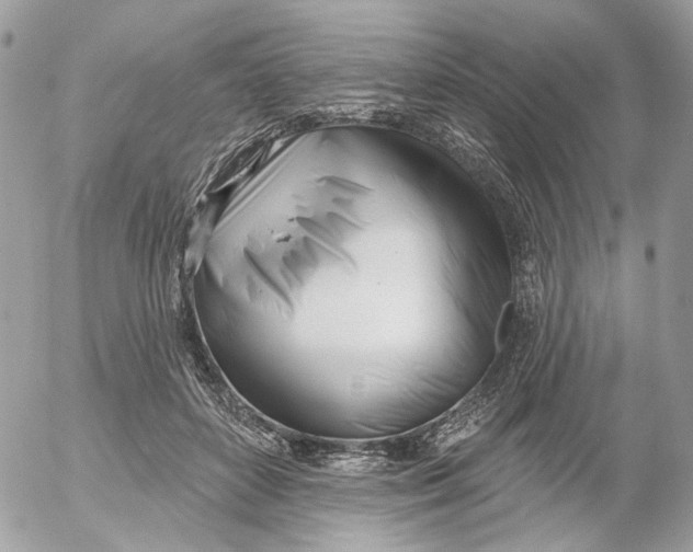 X0000052540504200507221429