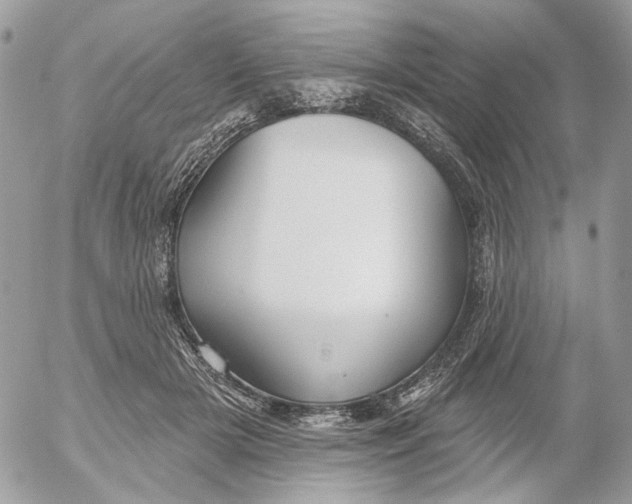 X0000052540505200507221429