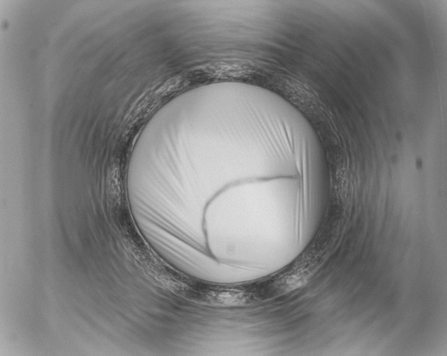 X0000052540506200507221429