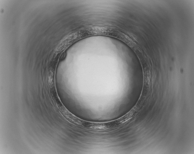 X0000052540507200507221429