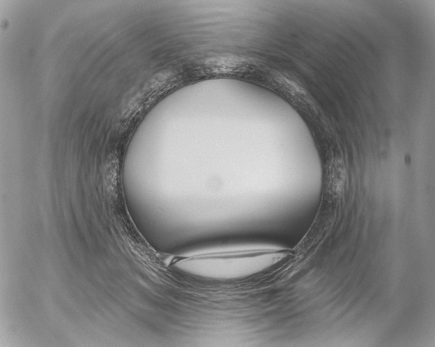 X0000052540509200507221429