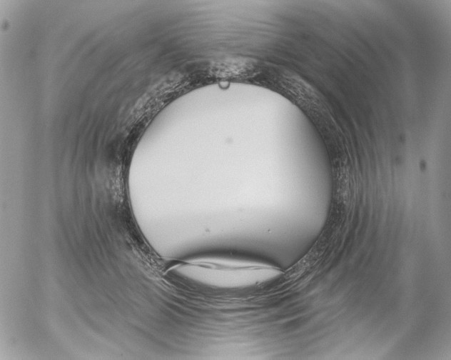 X0000052540510200507221429