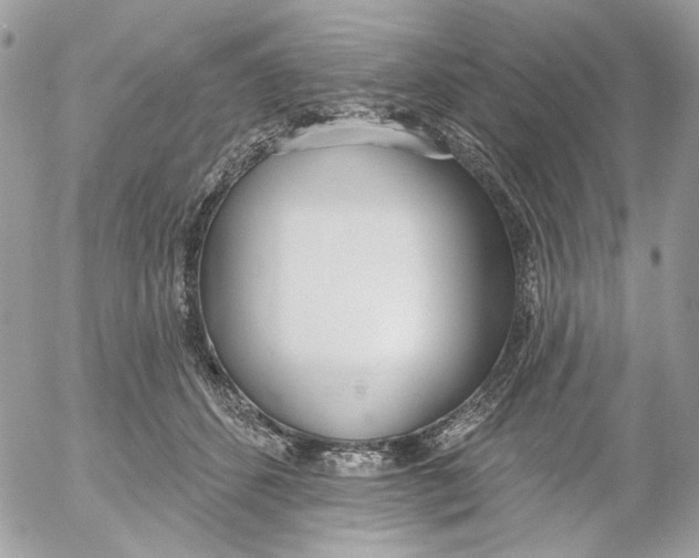 X0000052540512200507221429