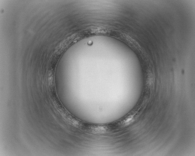 X0000052540513200507221429