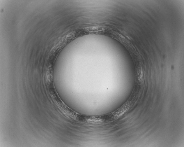 X0000052540515200507221429