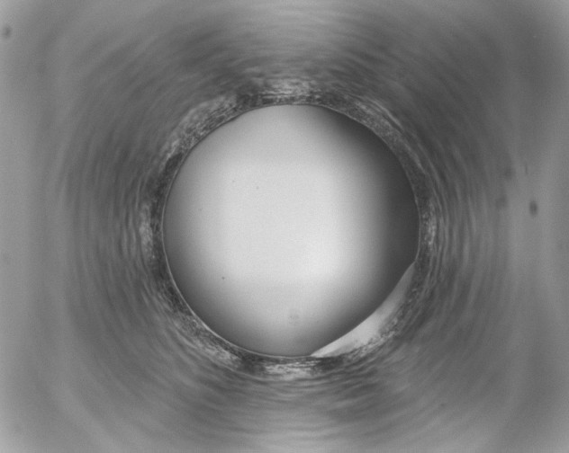 X0000052540516200507221429