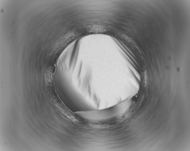 X0000052540517200507221429