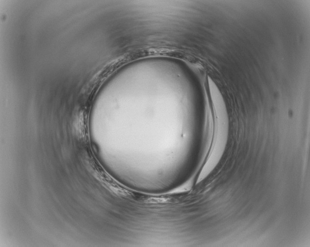 X0000052540519200507221429