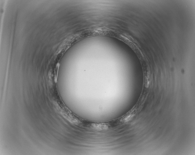 X0000052540520200507221429