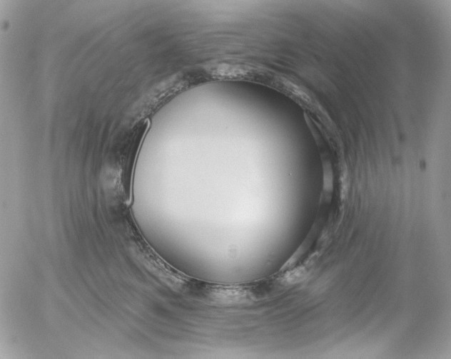 X0000052540521200507221429