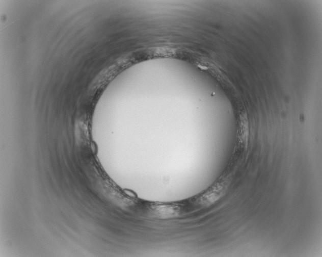 X0000052540522200507221429