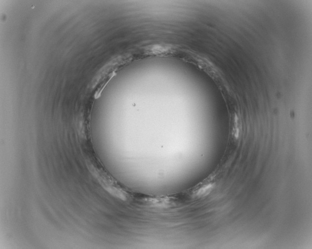 X0000052540524200507221429