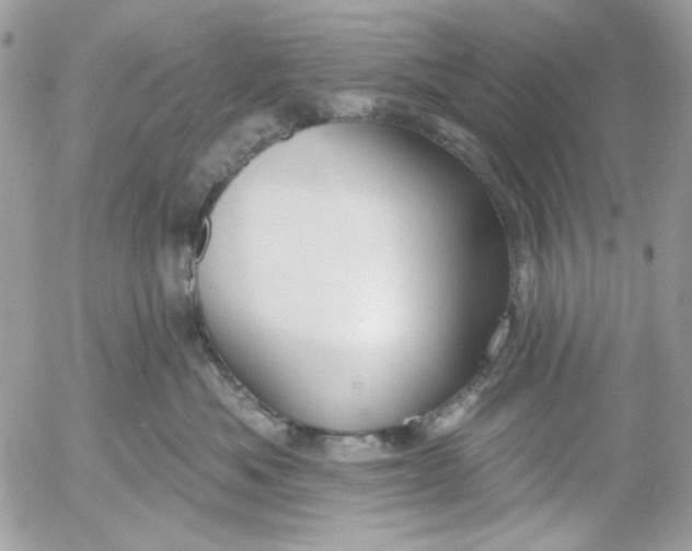 X0000052540525200507221429