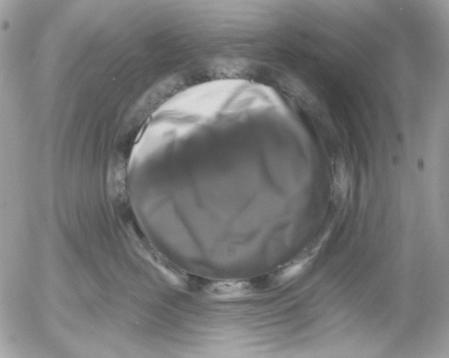 X0000052540526200507221429