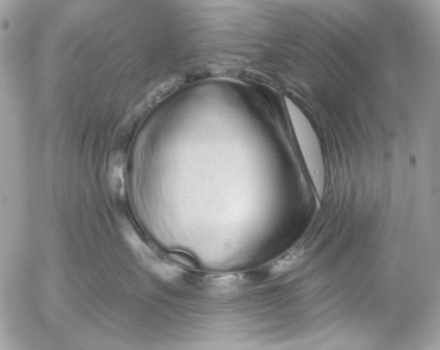 X0000052540527200507221429