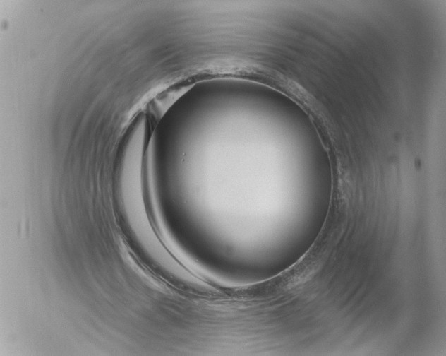 X0000052540530200507221428