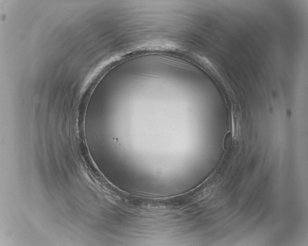 X0000052540531200507221428