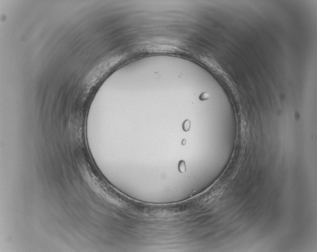 X0000052540533200507221428