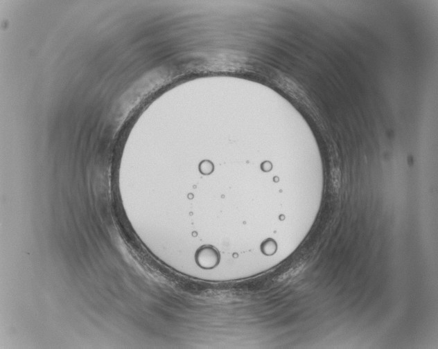 X0000052540534200507221428